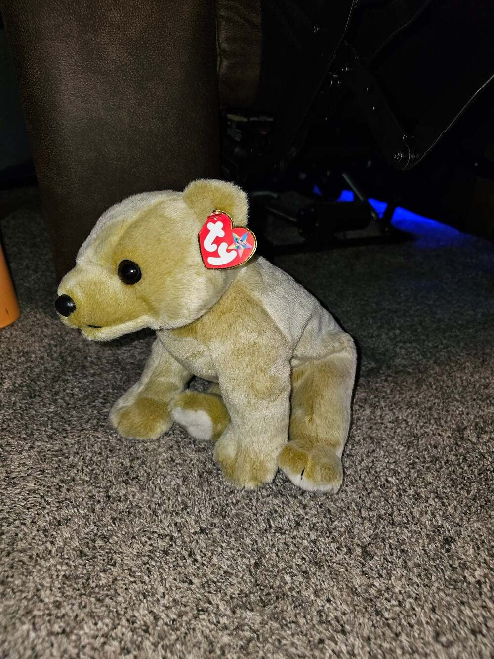 2001 TY BEANIE BUDDY "ALMOND" 12 INCH BEAR WITH TAGS TAN